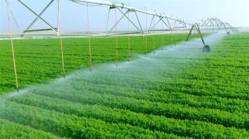 مستقبل مصر.. حكاية تنمية زراعية بأساليب حديثة فى قلب الصحراء مستقبل مصر.. حكاية تنمية زراعية بأساليب حديثة فى قلب الصحراء