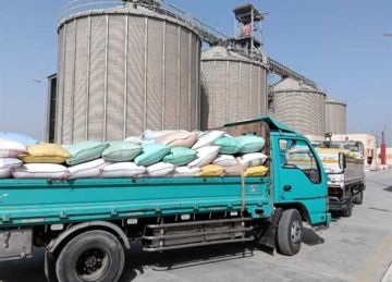 توريد 131 ألف طن قمح لمواقع التخزين في الشرقية