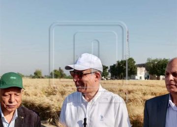 منذ بداية موسم الحصاد.. توريد 266 ألف طن قمح لشون وصوامع المنيا