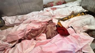 36 شهيدا منذ فجر الأربعاء.. وتحذير دولي من مجاعة قاتلة بغزة