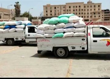 بـ3 درجات نقاوة.. صوامع وبناكر الإسكندرية تتسلم 66.6 ألف طن قمح محلي من المزارعين
