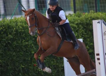  بمشاركة 400 فارسا .. انطلاق الحلقة الثامنة من بطولة الجمهورية للفروسية لقفز الحواجز في الإسكندرية الخميس (صور)
