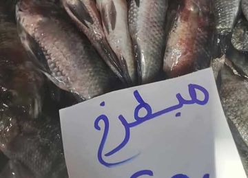 الشبار الأخضر بـ 250 جنيها.. أسعار الأسماك في دمياط اليوم الإثنين 12 مايو 2025