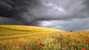 علماء المناخ يتحدون قرارات ترامب بإطلاق مبادرة بحثية مستقلة.. طرد 400 من علماء التقرير الوطني السادس