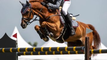 فروسية الجزيرة: فخورون بنجاح مصر في استضافة بطولة العالم العسكرية