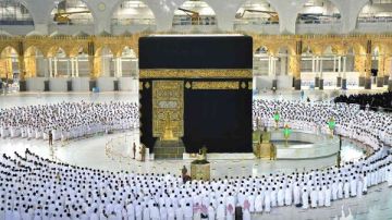 أحمد البكري : موسم الحج أكثر انضباطا .. وغير كل الأعوام السابقة أحمد البكري : موسم الحج أكثر انضباطا .. وغير كل الأعوام السابقة