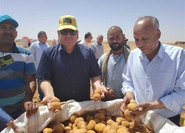 رئيس البحوث الزراعية : 4 أسباب وراء بدء تطبيق أول برنامج وطني لإنتاج تقاوي البطاطس