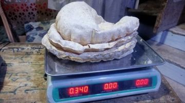 تحرير 112 محضرا ضد المخابز البلدية المخالفة في كفر الشيخ