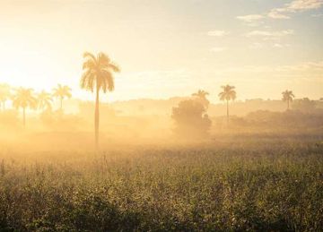 سرعتها تصل لـ30 كم ساعة.. نشاط للرياح المثيرة للأتربة في الوادي الجديد سرعتها تصل لـ30 كم ساعة.. نشاط للرياح المثيرة للأتربة في الوادي الجديد