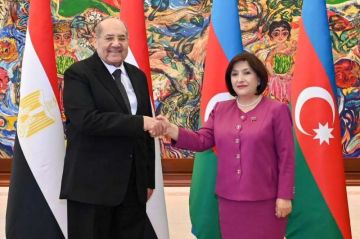 رئيس مجلس الشيوخ يؤكد لرئيسة المجلس الوطني تقدير مصر لموقف أذربيجان المساند لفلسطين رئيس مجلس الشيوخ يؤكد لرئيسة المجلس الوطني تقدير مصر لموقف أذربيجان المساند لفلسطين