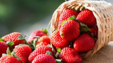 غذاء ودواء .. ماذا يحدث بالجسم عند تناول الفراولة ؟