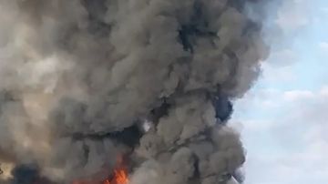 242 شخصا.. وسائل إعلام هندية عن الشرطة: مقتل جميع ركاب الطائرة المنكوبة 242 شخصا.. وسائل إعلام هندية عن الشرطة: مقتل جميع ركاب الطائرة المنكوبة