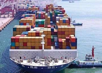  الغرف التجارية : احتياطي القمح يكفي أكثر من 6 أشهر والسكر والأرز 12 شهرا