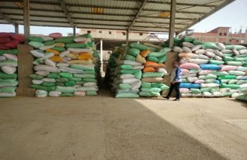 تموين كفر الشيخ يعلن زيادة كميات القمح الموردة إلى 224 ألف طن تموين كفر الشيخ يعلن زيادة كميات القمح الموردة إلى 224 ألف طن