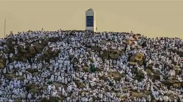 حجاج بيت الله يؤدون ركن الحج الأعظم بالوقوف على جبل عرفات حجاج بيت الله يؤدون ركن الحج الأعظم بالوقوف على جبل عرفات