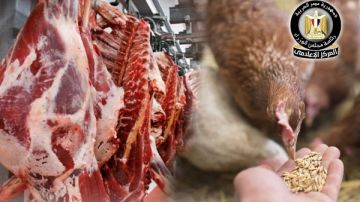 حقيقة عدم توافر خامات الأعلاف المستوردة والمحلية