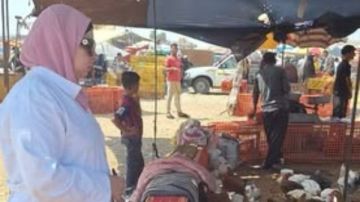 إجراءات عاجلة من الزراعة بشأن حملات التقصي الوبائي بمزارع وأسواق الدواجن