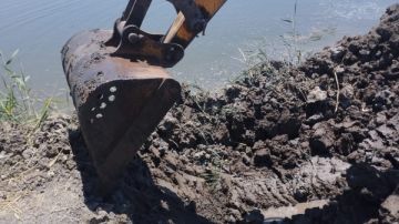 إزالة حالتي تعد بمساحة 42 فدانا و6 قراريط جنوب بورسعيد