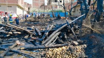 السيطرة على حريق في مزرعة للمواشي بالغربية.. صور