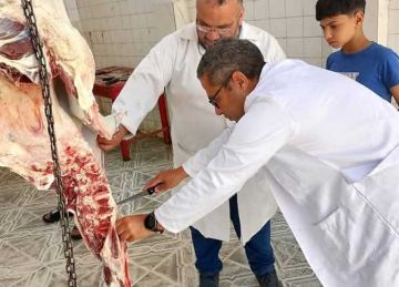  بيطري الشرقية : ذبح 561 أضحية بالمجان في ثالث أيام عيد الأضحى