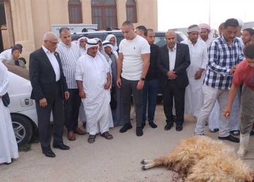 محافظ شمال سيناء يوزع أضحيته علي المواطنين