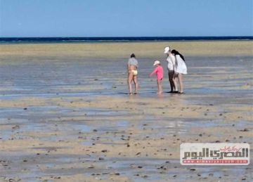  المد والجزر .. عرض طبيعي على شواطئ الغردقة يثير دهشة السائحين (صور)