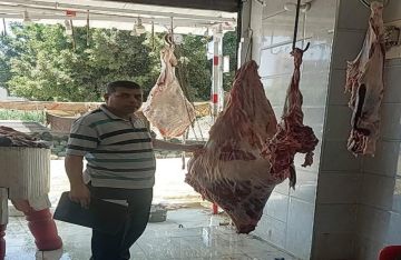 ضبط 1670 كيلو من اللحوم والدجاج غير مطابقة للمواصفات بمراكز الدقهلية ضبط 1670 كيلو من اللحوم والدجاج غير مطابقة للمواصفات بمراكز الدقهلية