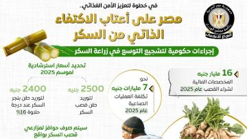 الحكومة: مصر تحقق الاكتفاء الذاتي من السكر بداية 2026 الحكومة: مصر تحقق الاكتفاء الذاتي من السكر بداية 2026
