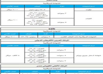 بدوريات صرف متنوعة.. تفاصيل أعلى عائد على الأوعية الادخارية الدولارية بالبنوك المصرية