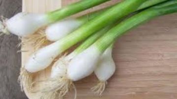 البصل الأخضر.. كنز غذائي يحمي القلب والعينين ويعزز المناعة فوائد غير متوقعة البصل الأخضر.. كنز غذائي يحمي القلب والعينين ويعزز المناعة فوائد غير متوقعة