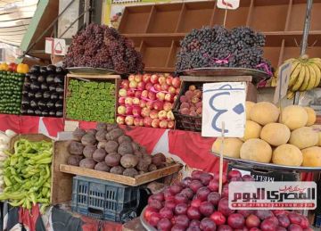 أسعار الخضروات في أسواق مطروح.. والبطاطس تبدأ من 7.5 جنيه