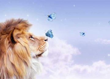 لأصحاب برج الأسد.. اعرف حظك في النصف الثاني من يونيو 2025 لأصحاب برج الأسد.. اعرف حظك في النصف الثاني من يونيو 2025