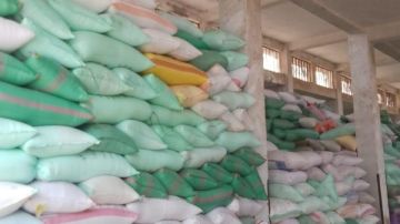 البحيرة: توريد أكثر من 316 ألف طن قمح لشون وصوامع المحافظة