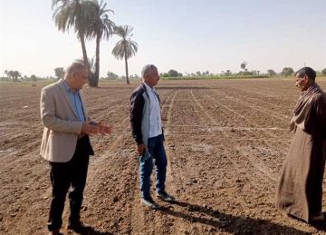 الذرة الشامية في الصدارة.. زراعة 114 ألف فدان محاصيل صيفية في المنيا الذرة الشامية في الصدارة.. زراعة 114 ألف فدان محاصيل صيفية في المنيا