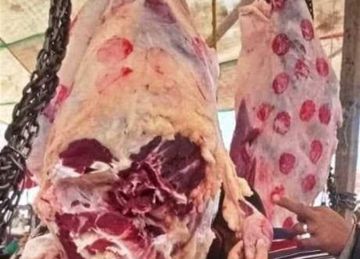 ضبط وتحرير 14 محضرا تموينيا بشمال سيناء