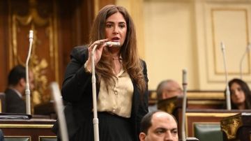 النائبة أميرة العادلي: الأرقام لا تكذب.. وزيادات الدعم والأجور لا تعادل الغلاء النائبة أميرة العادلي: الأرقام لا تكذب.. وزيادات الدعم والأجور لا تعادل الغلاء