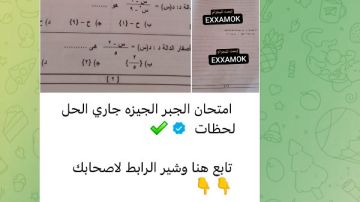امتحانات الاعدادية شاومينج ينشر بوكليت دراسات القاهرة و جبر الجيزة ويؤكد: جاري الحل