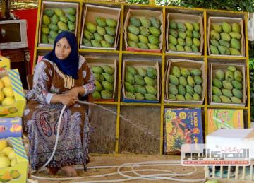 قائمة أسعار المانجو بسوق العبور للجملة اليوم السبت 21 يونيو 2025