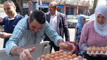 ب120 جنيها.. الزراعة تطرح البيض والأسماك بأسعار مخفضة تفاصيل