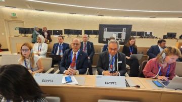 قرار تاريخي.. العمل الدولية تعتمد فلسطين عضوا مراقبا