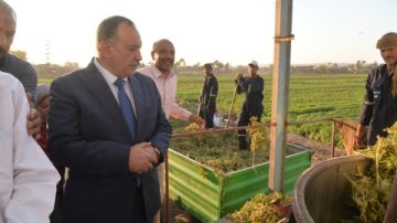 محافظ أسيوط يتفقد مصنع الريحان بقرية عرب القداديح.. أبو النصر : أبنوب من أعلى المناطق إنتاجا للنباتات الطبية والعطرية