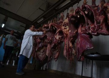  التموين : طرح من 30 إلى 50 طنا من اللحوم الهندية المجمدة يوميا في المجمعات الاستهلاكية