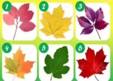 اختر وردة واكتشف السبب الفريد الذي يجعل الناس يعتمدون عليك