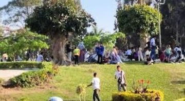 الزراعة تستقبل أكثر من 103 آلاف زائر بحدائقها خلال أيام عيد الأضحى الزراعة تستقبل أكثر من 103 آلاف زائر بحدائقها خلال أيام عيد الأضحى