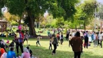 الزراعة تكشف تفاصيل استعدادات الحدائق والمتنزهات لاستقبال ثاني أيام عيد الأضحى  الزراعة تكشف تفاصيل استعدادات الحدائق والمتنزهات لاستقبال ثاني أيام عيد الأضحى