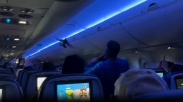 أغرب ضيفين فى العالم يتسببان فى تأجيل إقلاع طائرة.. ما القصة؟ أغرب ضيفين فى العالم يتسببان فى تأجيل إقلاع طائرة.. ما القصة؟