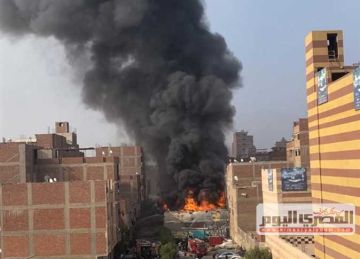 حريق قرب مصنع الرنجة في البراجيل يتسبب في توقف حركة المرور من أحمد عرابي (صور)