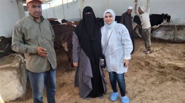 الزراعة: توفير ذبح الأضاحي في العيد وحملات للتأكد من سلامة الحيوانات المعروضة للبيع