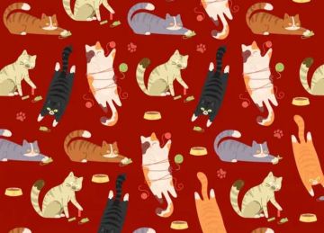 لأصحاب قوة الملاحظة.. أين القطة التي تلعب مع السمكة؟