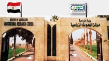 زيارات مكثفة لقيادات مركز البحوث الزراعية لمحطات البحث خلال إجازة عيد الأضحى